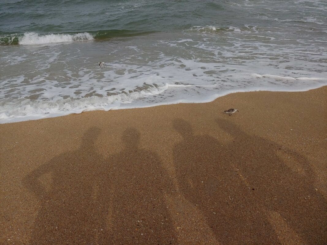 Nude beach shadow pic!